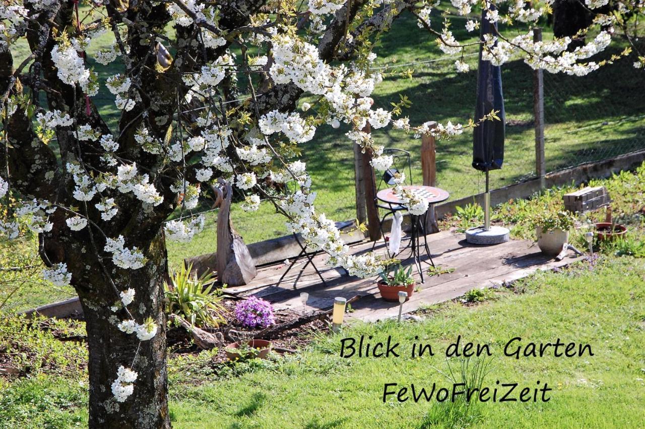 Fewofreizeit Rheinau Luaran gambar